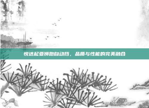悦达起亚狮跑自动挡，品质与性能的完美融合
