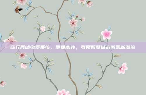 商丘百诚缴费系统，便捷高效，引领智慧城市缴费新潮流