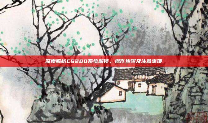 深度解析ES200系统解锁，操作步骤及注意事项