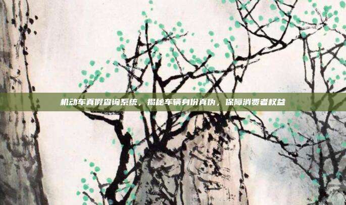 机动车真假查询系统，揭秘车辆身份真伪，保障消费者权益
