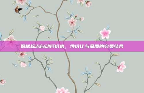 揭秘标志自动挡价格，性价比与品质的完美结合