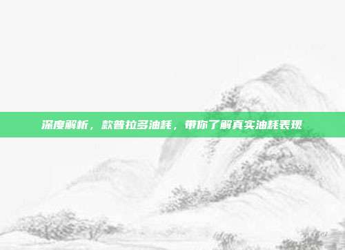 深度解析，款普拉多油耗，带你了解真实油耗表现