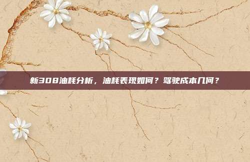 新308油耗分析，油耗表现如何？驾驶成本几何？