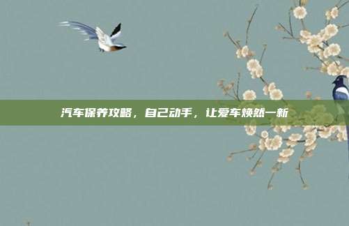 汽车保养攻略，自己动手，让爱车焕然一新