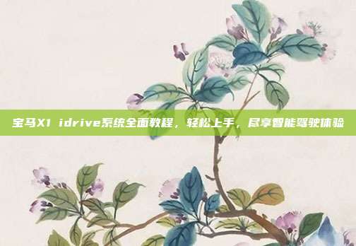 宝马X1 idrive系统全面教程，轻松上手，尽享智能驾驶体验