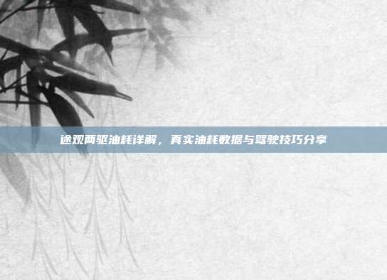 途观两驱油耗详解，真实油耗数据与驾驶技巧分享