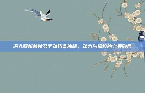深入解析普拉多手动挡柴油版，动力与操控的完美融合