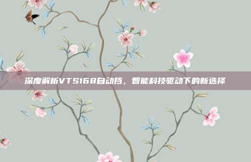 深度解析VTS168自动挡，智能科技驱动下的新选择