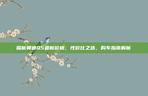 探析奥迪Q5最新价格，性价比之选，购车指南解析