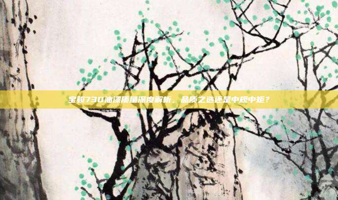 宝骏730油漆质量深度解析，品质之选还是中规中矩？