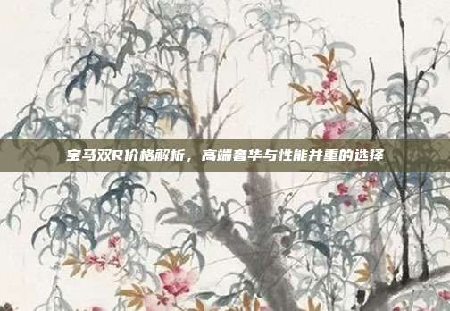宝马双R价格解析，高端奢华与性能并重的选择