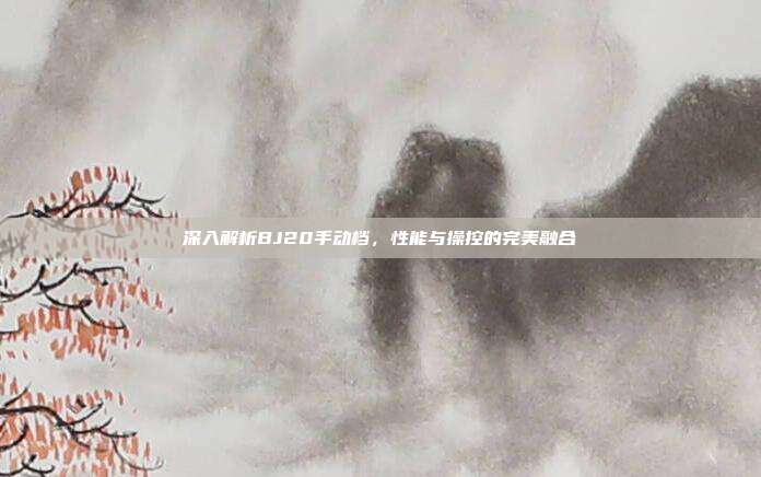 深入解析BJ20手动档，性能与操控的完美融合