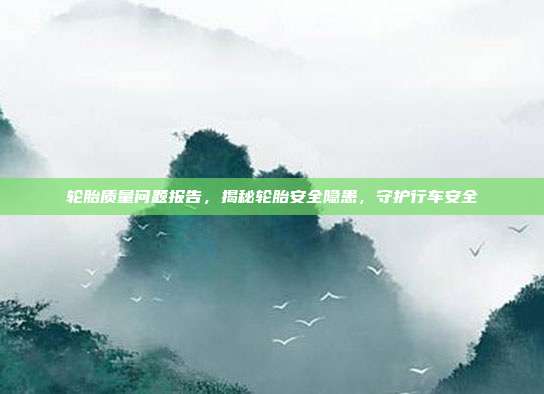 轮胎质量问题报告，揭秘轮胎安全隐患，守护行车安全