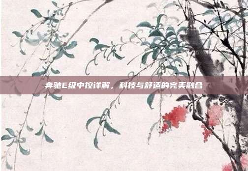 奔驰E级中控详解，科技与舒适的完美融合