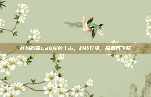 长城腾翼C30新款上市，科技升级，品质再飞跃