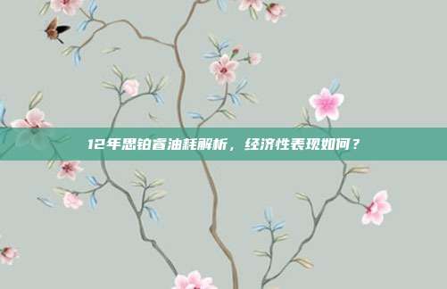 12年思铂睿油耗解析，经济性表现如何？