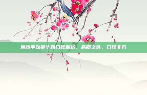 速腾手动豪华版口碑解析，品质之选，口碑非凡