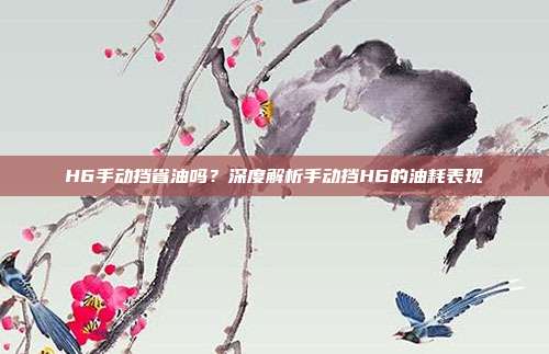 H6手动挡省油吗？深度解析手动挡H6的油耗表现
