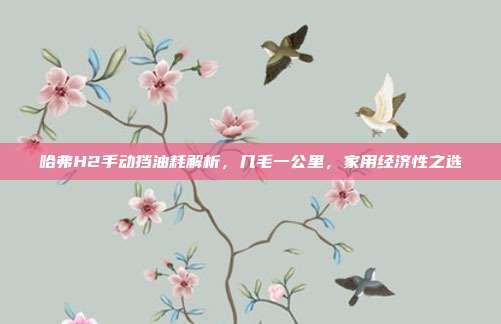 哈弗H2手动挡油耗解析，几毛一公里，家用经济性之选