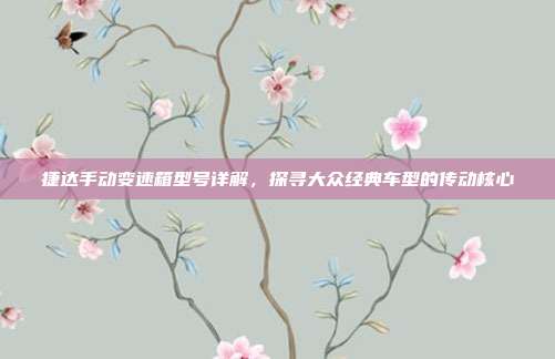 捷达手动变速箱型号详解，探寻大众经典车型的传动核心