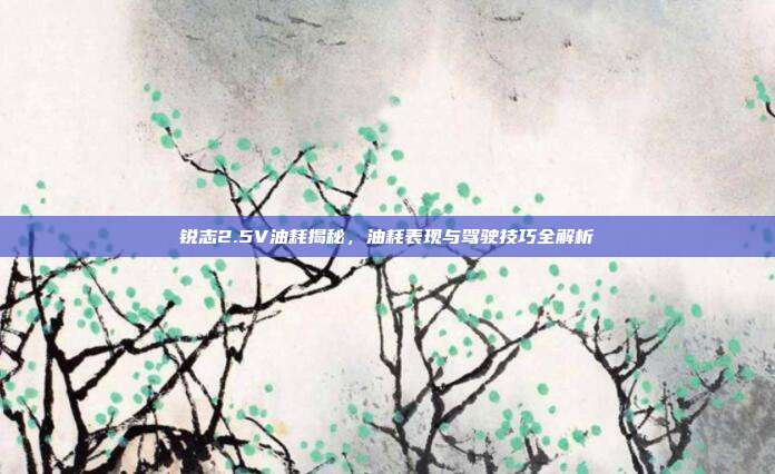 锐志2.5V油耗揭秘，油耗表现与驾驶技巧全解析