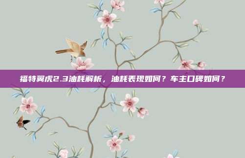 福特翼虎2.3油耗解析，油耗表现如何？车主口碑如何？