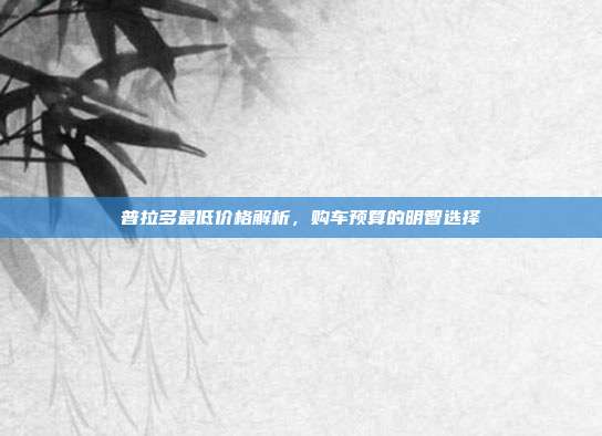 普拉多最低价格解析，购车预算的明智选择