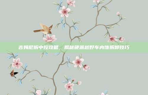 吉姆尼拆中控攻略，揭秘硬派越野车内饰拆卸技巧