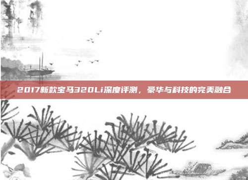 2017新款宝马320Li深度评测，豪华与科技的完美融合