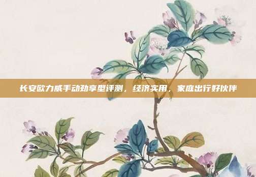 长安欧力威手动劲享型评测，经济实用，家庭出行好伙伴
