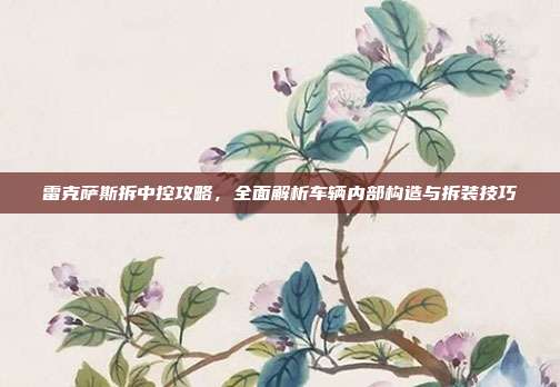 雷克萨斯拆中控攻略，全面解析车辆内部构造与拆装技巧