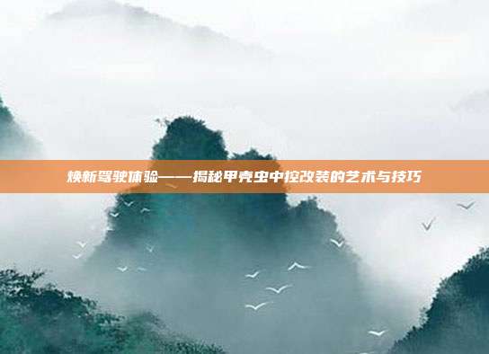 焕新驾驶体验——揭秘甲壳虫中控改装的艺术与技巧
