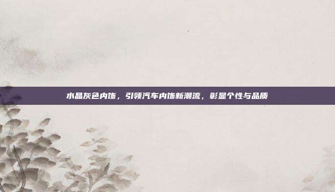 水晶灰色内饰，引领汽车内饰新潮流，彰显个性与品质