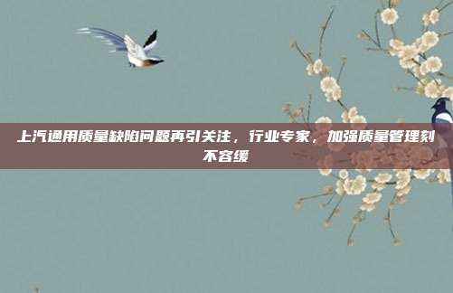 上汽通用质量缺陷问题再引关注，行业专家，加强质量管理刻不容缓