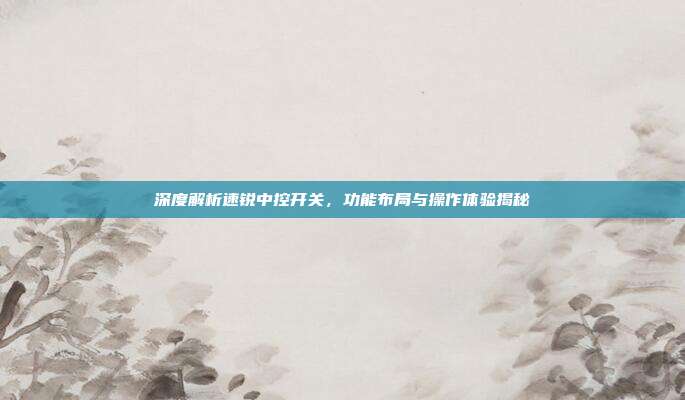 深度解析速锐中控开关，功能布局与操作体验揭秘
