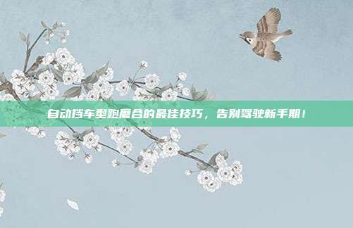 自动挡车型跑磨合的最佳技巧，告别驾驶新手期！