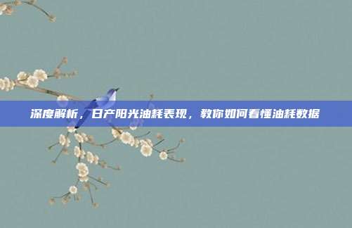 深度解析，日产阳光油耗表现，教你如何看懂油耗数据