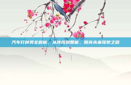 汽车灯种类全解析，从传统到智能，照亮未来驾驶之路