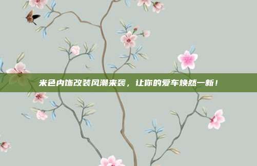米色内饰改装风潮来袭，让你的爱车焕然一新！