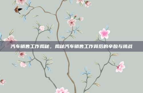 汽车销售工作揭秘，揭秘汽车销售工作背后的辛酸与挑战