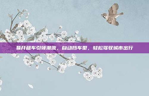 易开租车引领潮流，自动挡车型，轻松驾驭城市出行