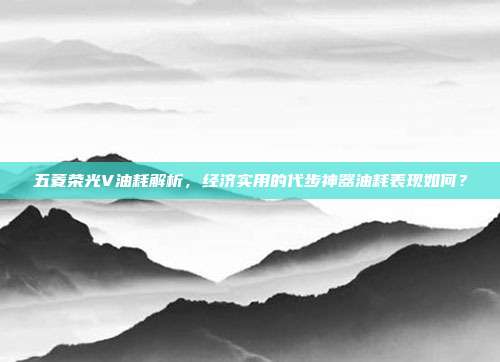 五菱荣光V油耗解析，经济实用的代步神器油耗表现如何？