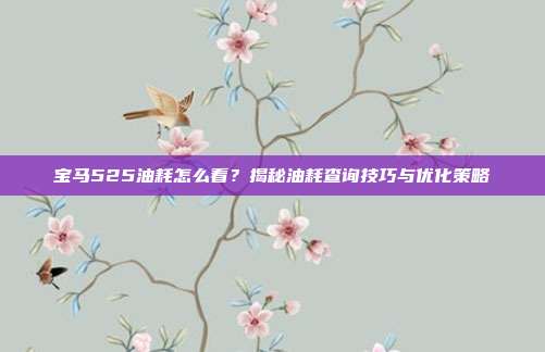 宝马525油耗怎么看？揭秘油耗查询技巧与优化策略