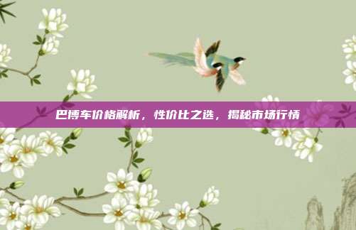 巴博车价格解析，性价比之选，揭秘市场行情