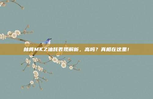 林肯MKZ油耗表现解析，高吗？真相在这里！