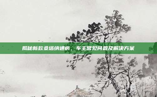 揭秘新款桑塔纳通病，车主常见问题及解决方案