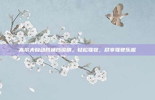 高尔夫自动挡换挡说明，轻松驾驭，尽享驾驶乐趣