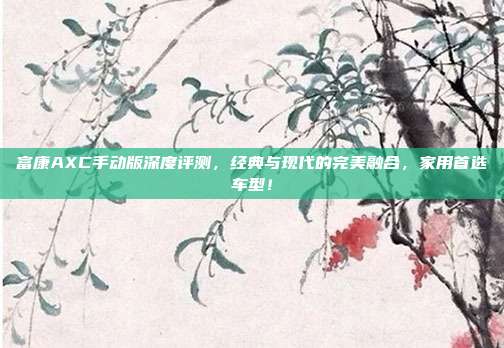 富康AXC手动版深度评测，经典与现代的完美融合，家用首选车型！