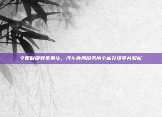 全国联保登录系统，汽车售后服务的全新升级平台解析