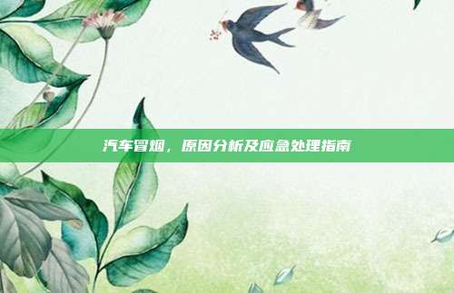 汽车冒烟，原因分析及应急处理指南